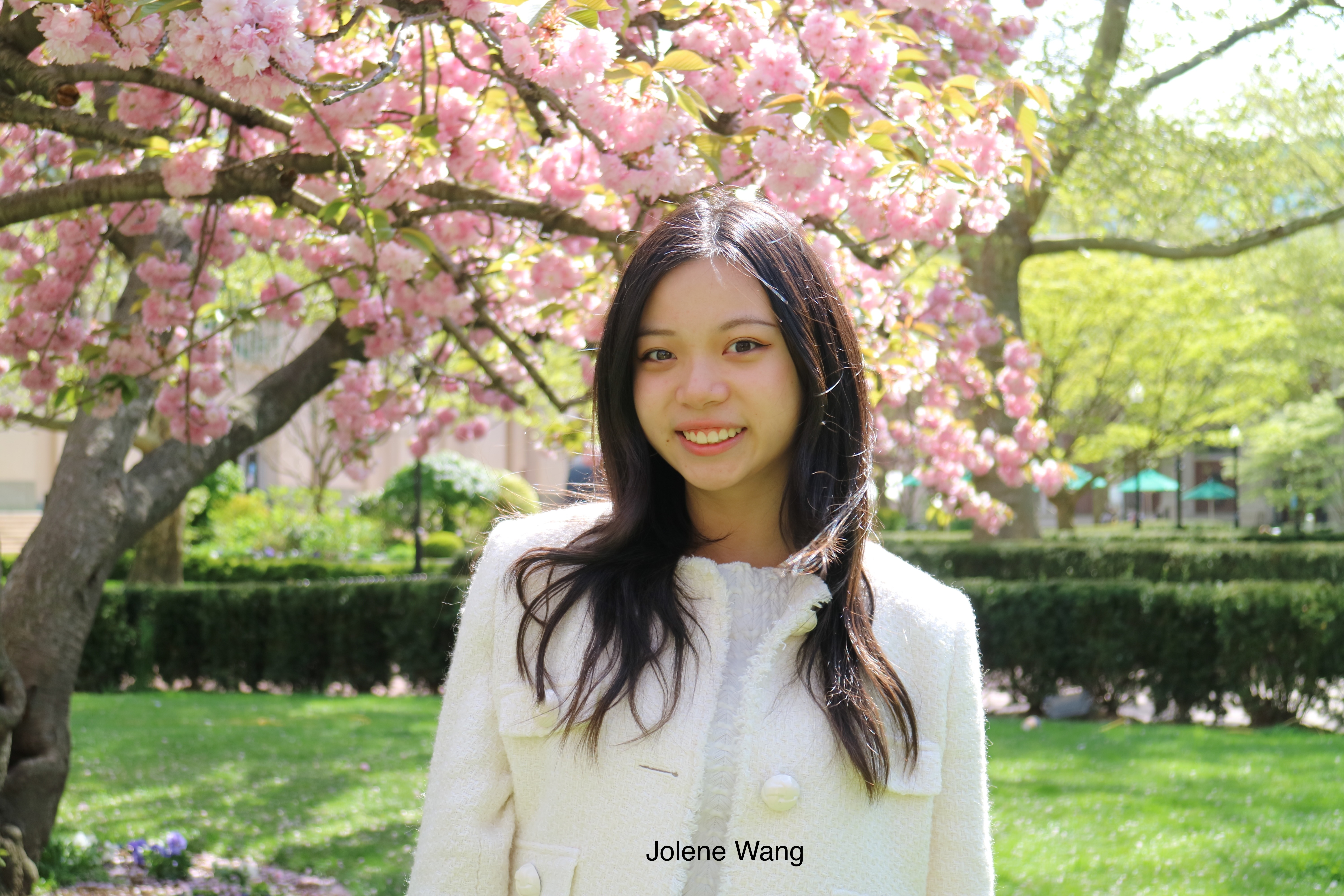Jolene Wang